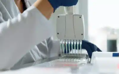 Where to Get a DNA Test During Pregnancy